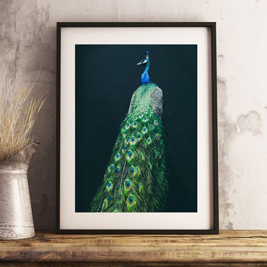 Colorful Peacock Wooden Framed Wall Art