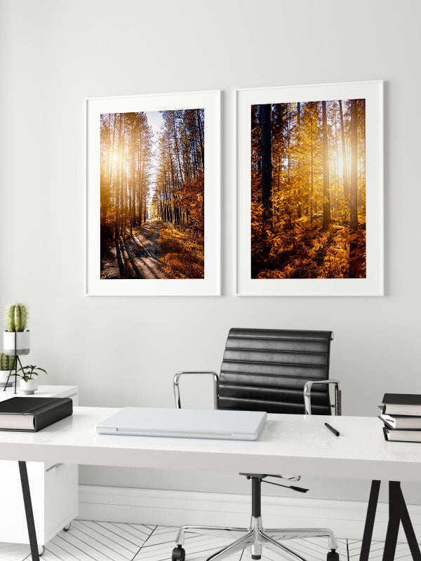 Sunlight And Trees Wooden Framed Wall Art Double Set