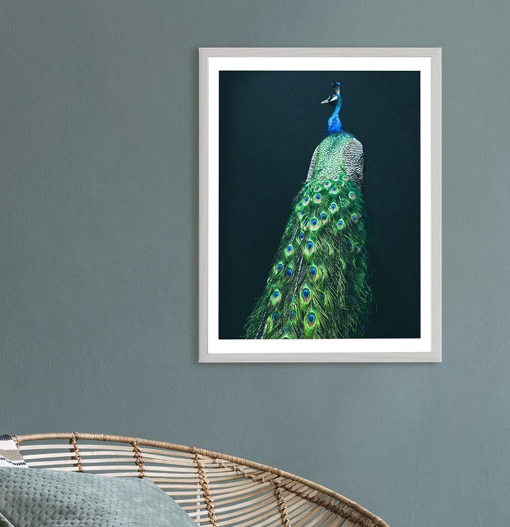 Colorful Peacock Wooden Framed Wall Art