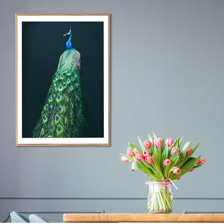 Colorful Peacock Wooden Framed Wall Art