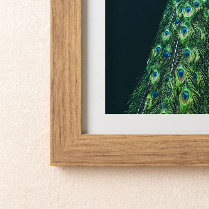 Colorful Peacock Wooden Framed Wall Art